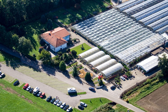 Photographie aérienne de Terre de cactus à Steinfeld dans le département Rhénanie-Palatinat, Allemagne