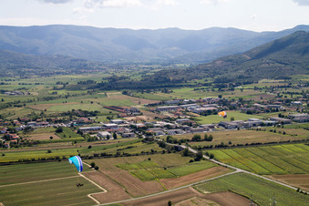 Ossaia