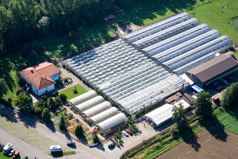 Vue oblique de Terre de cactus à Steinfeld dans le département Rhénanie-Palatinat, Allemagne