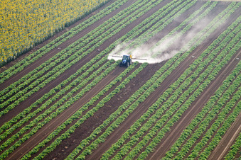 Vue aérienne de Alberoro dans le département Toscane, Italie