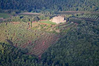 Montalcino dans le département Siena, Italie d'en haut