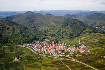 Vue aérienne de Vignobles au pied de la lisière de Haardt de la forêt du Palatinat à Eschbach dans le département Rhénanie-Palatinat, Allemagne
