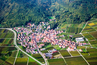 Vue aérienne de Village viticole à la lisière de la forêt du Palatinat vue de l'est à Eschbach dans le département Rhénanie-Palatinat, Allemagne