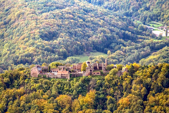 Vue aérienne de Ruines du château de Madenburg à la lisière de la forêt du Palatinat à Eschbach dans le département Rhénanie-Palatinat, Allemagne