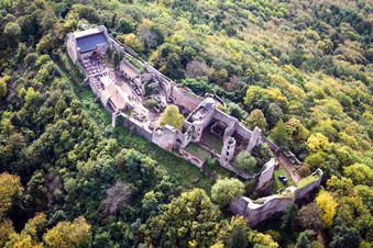 Photographie aérienne de Ruines du château de Madenburg à la lisière de la forêt du Palatinat à Eschbach dans le département Rhénanie-Palatinat, Allemagne