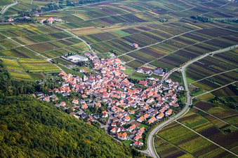 Vue aérienne de Village viticole à la lisière de la forêt du Palatinat vue de l'ouest à Eschbach dans le département Rhénanie-Palatinat, Allemagne