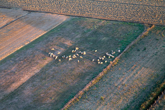 Enregistrement par drone de Castroncello dans le département Toscane, Italie