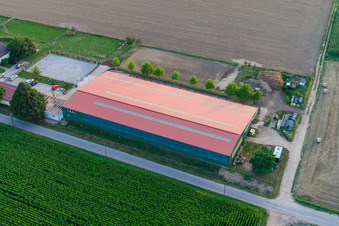 Centre équestre Fohlenhof à Steinweiler dans le département Rhénanie-Palatinat, Allemagne d'un drone