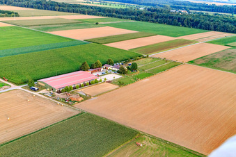 Photographie aérienne de Centre équestre Fohlenhof à Steinweiler dans le département Rhénanie-Palatinat, Allemagne