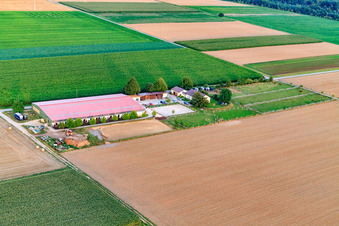 Vue oblique de Centre équestre Fohlenhof à Steinweiler dans le département Rhénanie-Palatinat, Allemagne