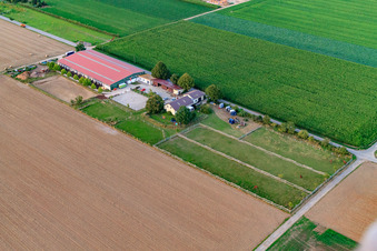 Centre équestre Fohlenhof à Steinweiler dans le département Rhénanie-Palatinat, Allemagne vue d'en haut