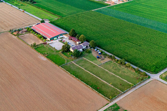 Centre équestre Fohlenhof à Steinweiler dans le département Rhénanie-Palatinat, Allemagne depuis l'avion