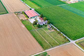 Vue d'oiseau de Centre équestre Fohlenhof à Steinweiler dans le département Rhénanie-Palatinat, Allemagne