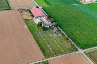 Centre équestre Fohlenhof à Steinweiler dans le département Rhénanie-Palatinat, Allemagne vue du ciel