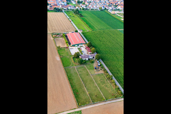Enregistrement par drone de Centre équestre Fohlenhof à Steinweiler dans le département Rhénanie-Palatinat, Allemagne