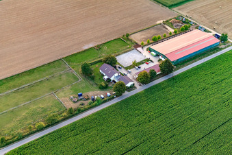 Centre équestre Fohlenhof à Steinweiler dans le département Rhénanie-Palatinat, Allemagne du point de vue du drone
