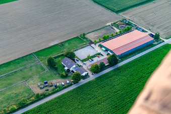 Centre équestre Fohlenhof à Steinweiler dans le département Rhénanie-Palatinat, Allemagne d'un drone