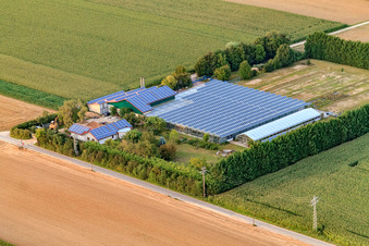 Sudetenhof à Steinweiler dans le département Rhénanie-Palatinat, Allemagne vue d'en haut