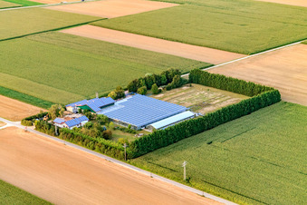 Sudetenhof à Steinweiler dans le département Rhénanie-Palatinat, Allemagne depuis l'avion