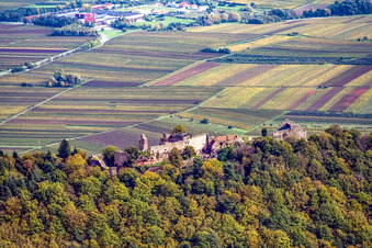 Vue aérienne de Madenburg vu de l'ouest à Eschbach dans le département Rhénanie-Palatinat, Allemagne