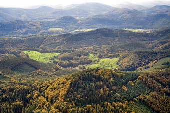 Vue aérienne de Du nord à le quartier Blankenborn in Bad Bergzabern dans le département Rhénanie-Palatinat, Allemagne