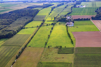 Ranch Palatino à Steinweiler dans le département Rhénanie-Palatinat, Allemagne vue d'en haut