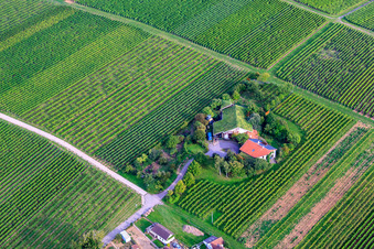 Vue aérienne de Vignerons sous le toit d'herbe à le quartier Wollmesheim in Landau in der Pfalz dans le département Rhénanie-Palatinat, Allemagne