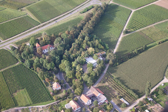 Vue d'oiseau de Locaux de l'entreprise SEKA Schutzbelüftung GmbH avec halls, bâtiments d'entreprise et installations de production à le quartier Wollmesheim in Landau in der Pfalz dans le département Rhénanie-Palatinat, Allemagne