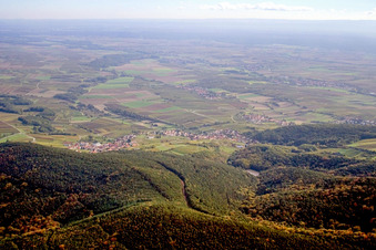 Vue aérienne de Gleiszellen-Gleishohrbach à le quartier Gleishorbach in Gleiszellen-Gleishorbach dans le département Rhénanie-Palatinat, Allemagne
