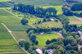 Vue aérienne de Terrain de football TuS Wollmesheim à le quartier Wollmesheim in Landau in der Pfalz dans le département Rhénanie-Palatinat, Allemagne