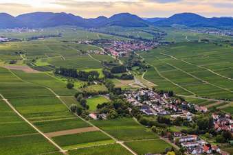 Vue aérienne de Sortie vers l'ouest à le quartier Wollmesheim in Landau in der Pfalz dans le département Rhénanie-Palatinat, Allemagne