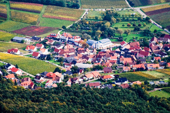 Vue aérienne de Village viticole à la lisière de la forêt du Palatinat, au nord-ouest à le quartier Gleiszellen in Gleiszellen-Gleishorbach dans le département Rhénanie-Palatinat, Allemagne