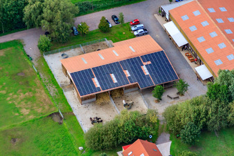 Haras islandais de Bienwald à Freckenfeld dans le département Rhénanie-Palatinat, Allemagne depuis l'avion