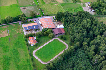 Haras islandais de Bienwald à Freckenfeld dans le département Rhénanie-Palatinat, Allemagne vue du ciel
