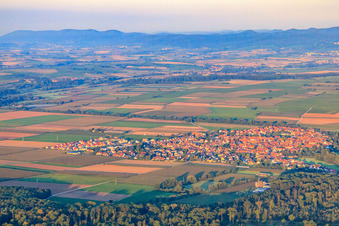 Vue aérienne de Vue du village depuis le nord-est à Steinweiler dans le département Rhénanie-Palatinat, Allemagne