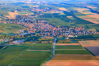 Vue aérienne de Vue du village depuis l'est à la sortie de l'A65 à Insheim dans le département Rhénanie-Palatinat, Allemagne