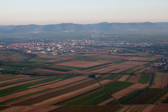 Vue aérienne de Landau depuis le sud-est à Landau in der Pfalz dans le département Rhénanie-Palatinat, Allemagne