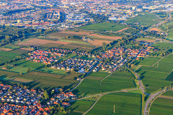 Vue aérienne de Vue du village depuis le nord-est à le quartier Dammheim in Landau in der Pfalz dans le département Rhénanie-Palatinat, Allemagne
