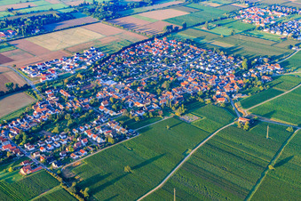 Vue aérienne de Vue du village depuis le nord-est à Bornheim dans le département Rhénanie-Palatinat, Allemagne