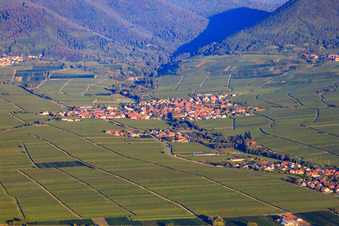 Vue aérienne de Vue du village entre les vignes depuis l'est dans la lumière du matin à Hainfeld dans le département Rhénanie-Palatinat, Allemagne