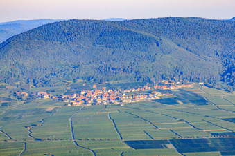 Vue aérienne de Vue du village entre les vignes depuis l'est dans la lumière du matin à Weyher in der Pfalz dans le département Rhénanie-Palatinat, Allemagne