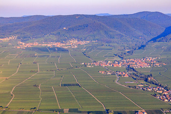 Vue aérienne de Vue de la ville depuis l'est. En arrière-plan, Burrweiler, en bordure du Haardt, dans la forêt du Palatinat, sous la lumière matinale. à Hainfeld dans le département Rhénanie-Palatinat, Allemagne