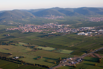 Vue aérienne de Champs agricoles et terres agricoles à Edenkoben dans le département Rhénanie-Palatinat, Allemagne