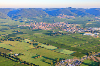 Vue aérienne de Vue de la ville depuis le sud-est. En arrière-plan, St. Martin am Haardtrand, dans la forêt du Palatinat, à la lumière du matin. à Edenkoben dans le département Rhénanie-Palatinat, Allemagne