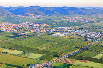 Vue aérienne de Vue de la ville depuis le sud-est. En arrière-plan, St. Martin am Haardtrand, dans la forêt du Palatinat, à la lumière du matin. à Edenkoben dans le département Rhénanie-Palatinat, Allemagne