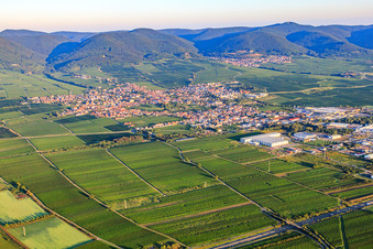 Photographie aérienne de Vue de la ville depuis le sud-est. En arrière-plan, St. Martin am Haardtrand, dans la forêt du Palatinat, à la lumière du matin. à Edenkoben dans le département Rhénanie-Palatinat, Allemagne