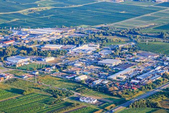 Vue aérienne de Zone industrielle Industriering à la lumière du matin à Edenkoben dans le département Rhénanie-Palatinat, Allemagne