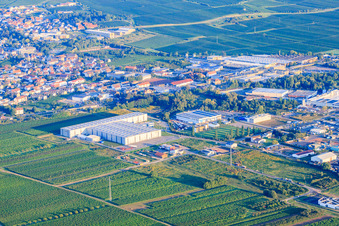Vue aérienne de Zone industrielle Industriering dans la lumière du matin avec ArcelorMittal SSC Deutschland GmbH, succursale Edenkoben et Bilfinger Engineering & Maintenance GmbH - site Edenkoben à Edenkoben dans le département Rhénanie-Palatinat, Allemagne