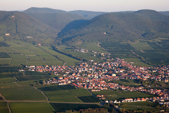 Photographie aérienne de Champs agricoles et terres agricoles à Edenkoben dans le département Rhénanie-Palatinat, Allemagne