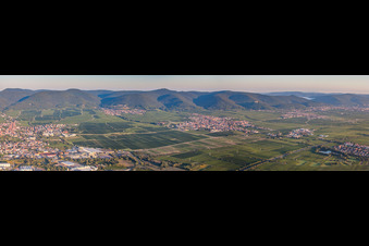 Vue aérienne de Panorama perspective paysage viticole des zones viticoles à Maikammer dans le département Rhénanie-Palatinat, Allemagne